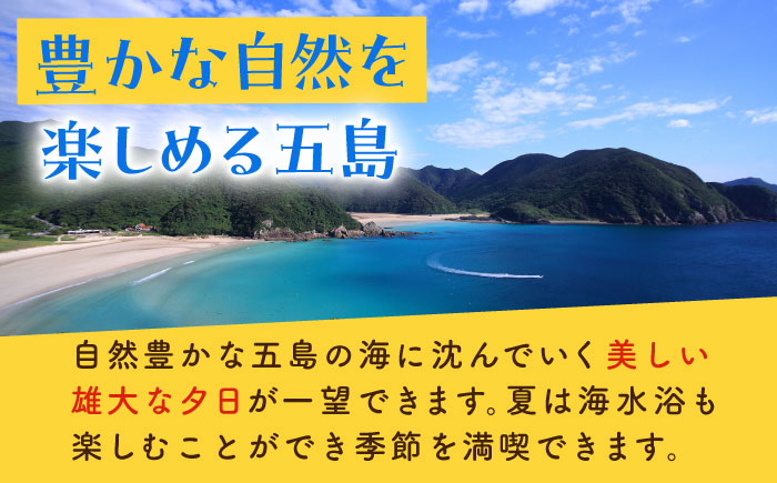 【旅行や帰省に♪】五島市への旅行で使える トラベルQ 旅行 クーポン ３，０００円分【アイラオリエンタルリンク（トラベルQ）】[PEA001]