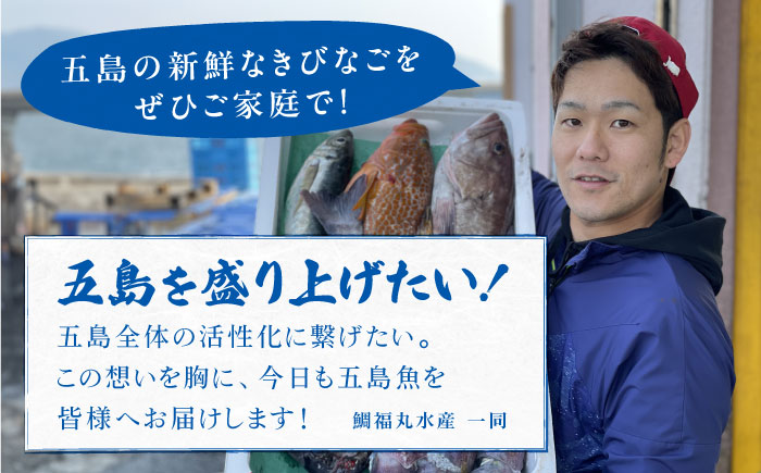 【最速発送】五島産 きびなご 刺身用 20尾×9P 五島市/鯛福丸水産 [PDP001]