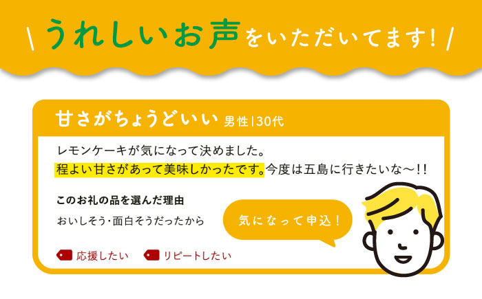 【全12回定期便】レモンケーキ 10個入【観光ビルはたなか】 [PAX024]