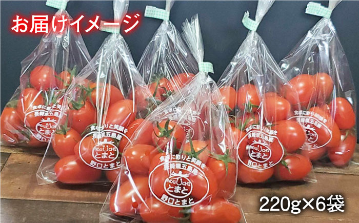 【食卓にトマトで彩りと笑顔を！】あまくておいしい！ミニトマト6袋【野口とまと】[PCJ002]