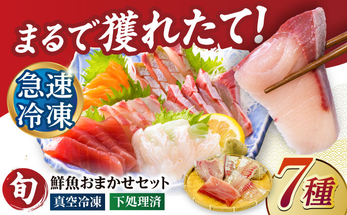 【下処理済】超速冷凍鮮魚7種（5種+焼物用2種）五島市/金沢鮮魚[PEP068]魚 鮮魚 鮮魚ボックス