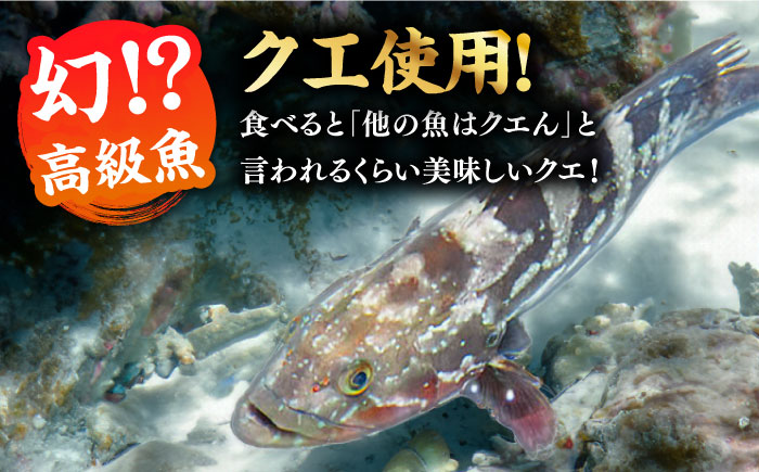 五島産養殖クエ鍋の切身 五島市/五島ヤマフ[PAK022]