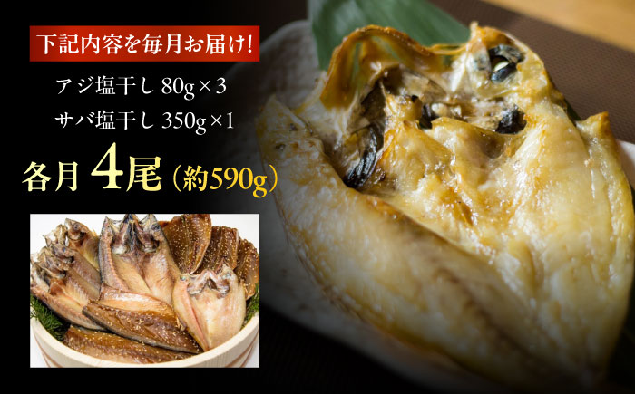 【6回定期便】【S】一夜干し 塩干し（アジ/サバ）計4尾 五島市/愛情食彩[PCH011]