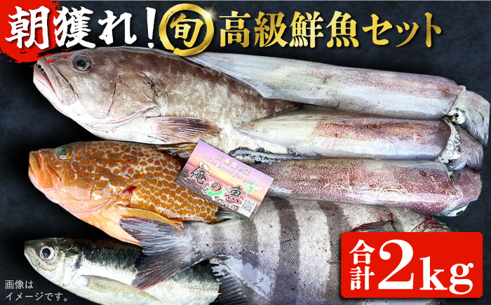 【五島列島・直送】朝獲れ！高級鮮魚セット2kg 五島市 / 鯛福丸水産 [PDP002]