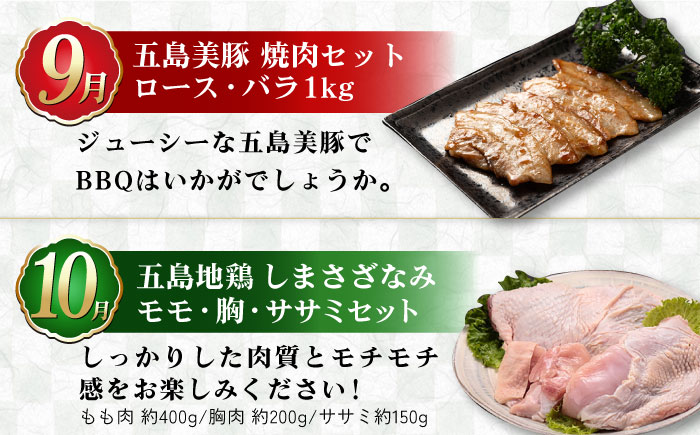 【肉づくし全12回定期便】五島産のいろんなお肉が毎月届く！お肉大集合スペシャル/五島市 [PZX005]