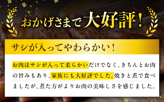 【全12回定期便】やみつき五島牛薄切り 600g【肉のマルヒサ】 [PCV031]