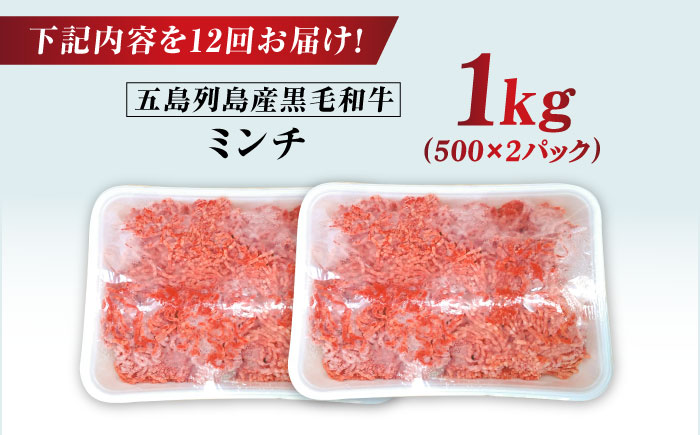 【全12回定期便】五島列島産 黒毛和牛 ミンチ 1kg 五島市/山口Farm [PGJ032]