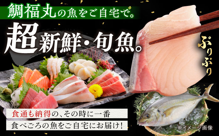 【五島列島直送】朝獲れ鮮魚セット2kg 五島市/鯛福丸水産[PDP008]  鮮魚 セット 冷蔵 魚 海鮮 直送 さかな 詰合せ