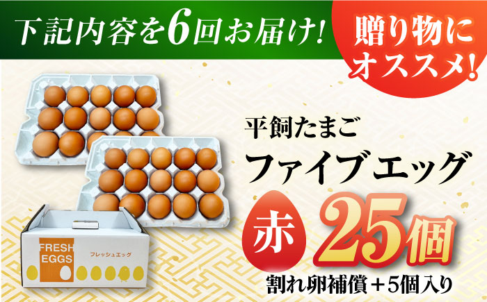 【6回定期便】【お得な箱入り】平飼たまご ファイブエッグ M〜Lサイズ 25個 / 5EGG 卵 赤玉子 五島市 / 五島列島大石養鶏場 [PFQ040]