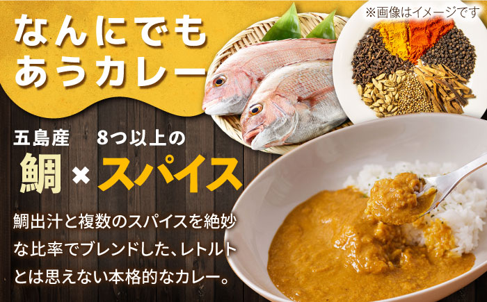 ごとのカレー4種セット / カレー カレーライス レトルト 常温 五島市 / ごと [PBY029]