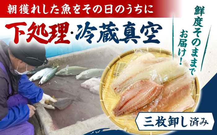 【全12回定期便】金澤仕立て 鮮魚ボックス 旬の魚3種 鮮魚 簡単 旬 海鮮 真空 冷蔵 五島市/金沢鮮魚 [PEP014]