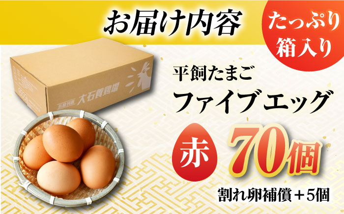 【お得な箱入り】平飼たまご ファイブエッグ M〜Lサイズ 70個?/ 5EGG 卵 赤玉子五島市 / 五島列島大石養鶏場 [PFQ009]