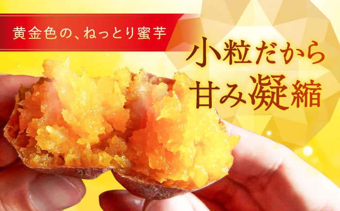 【6回定期便】【3年連続日本一】焼き芋 小粒ごと芋きらりちゃん 180g×10袋 五島市/ごと[PBY059] レンジで簡単 サツマイモ おやつ 小分け さつまいも 芋