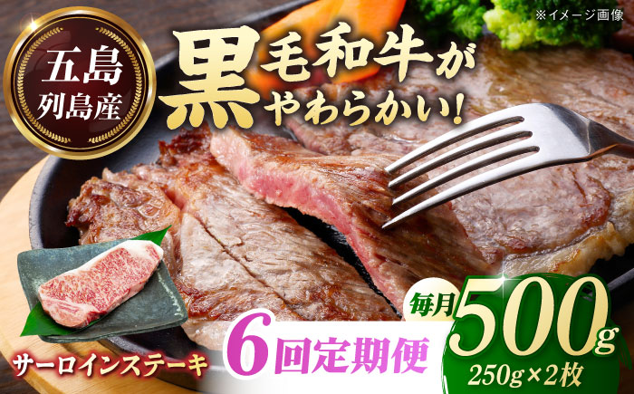 【全6回定期便】五島列島産 黒毛和牛 サーロインステーキ 250g×2枚 五島市/山口Farm [PGJ019]