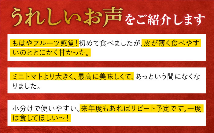 【食卓にトマトで彩りと笑顔を！】新鮮なフルティカ 6袋【野口とまと】[PCJ005]