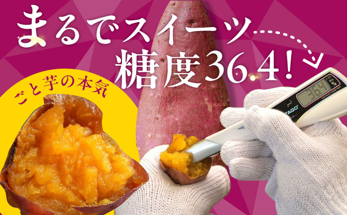 【先行予約】【3年連続日本一！】ごと芋 プレミアム 350g×4袋 / 冷凍 焼き芋 レンジ さつまいも 安納芋 五島市 / ごと [PBY004]