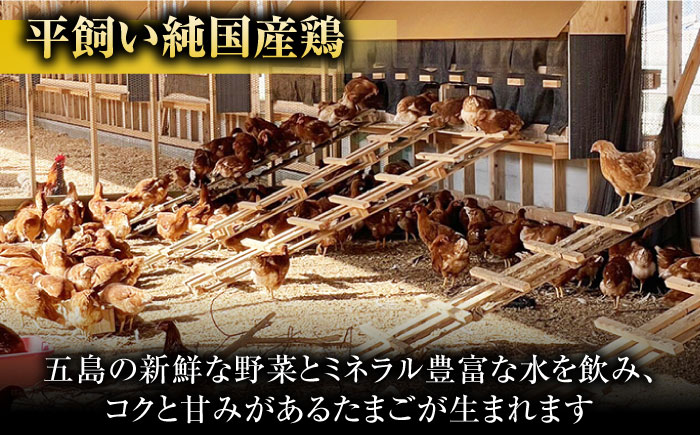 【全3回定期便】【ギフトBOX】平飼たまご ファイブエッグ M〜Lサイズ 20個入 / 5EGG 卵 赤玉子 五島市 / 五島列島大石養鶏場 [PFQ026]