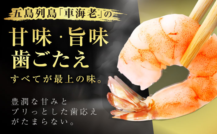 【訳あり】無頭冷凍車海老（加熱用）750g (250gx3P) 五島市／拓水 五島事業場 [PCU009]