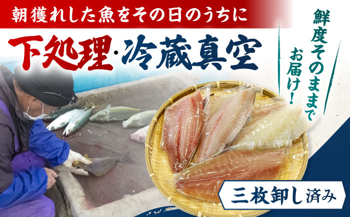 金澤仕立て 鮮魚ボックス 旬の魚4種 鮮魚 簡単 旬 海鮮 真空 冷蔵 五島市/金沢鮮魚 [PEP008]