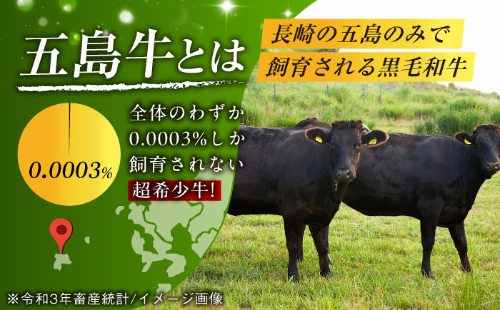 【全6回定期便】極上やみつき五島牛薄切り 800g【肉のマルヒサ】 [PCV021]