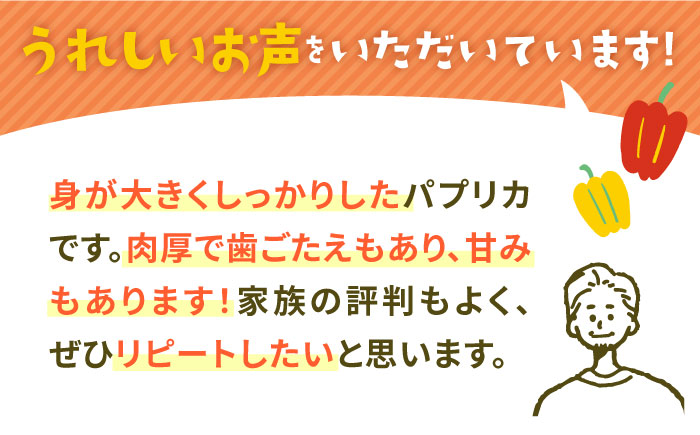 【肉厚＆ジューシー】五島のパプリカ 計8個 五島市/HPIファーム [PCP007]