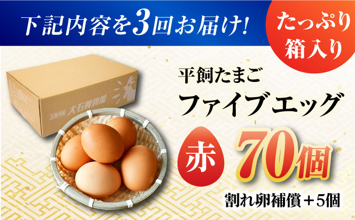 【全3回定期便】【お得な箱入り】平飼たまご ファイブエッグ M〜Lサイズ 70個 / 5EGG 卵 赤玉子五島市 / 五島列島大石養鶏場 [PFQ029]