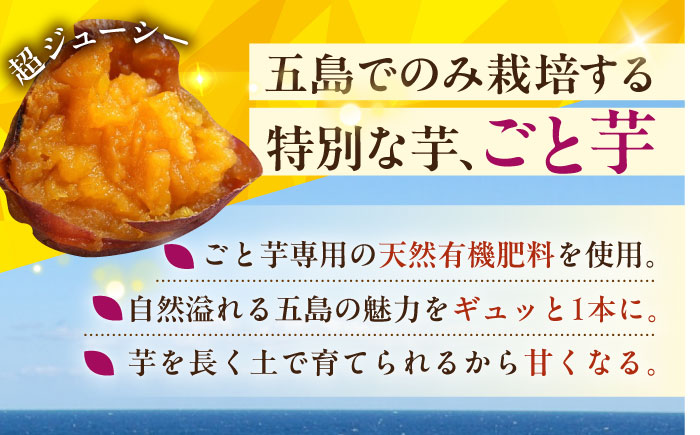 【6回定期便】お届け内容が毎月変わる！焼き芋定期便 五島市/ごと株式会社 [PBY065]
