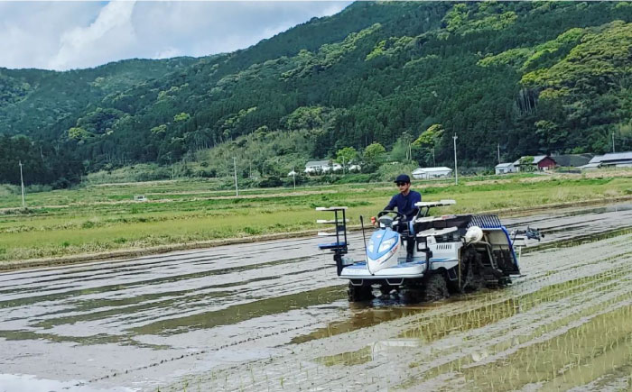 【とまと農家がつくるお米】ひのひかり 5kg 五島市富江産 ヒノヒカリ  野口とまと/五島市 [PCJ007]