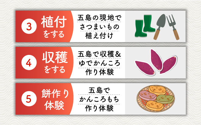 サツマイモ畑のオーナーになってオリジナルかんころ餅つくり体験　五島市/株式会社五島のやぁしゃ便 かんころもち 農業体験 体験 [PBG007]