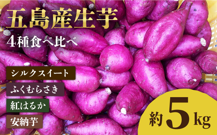 【2025年1月先行予約】五島産生芋5kg 安納芋 シルクスイート 紅はるか ふくむらさき 五島市/芋蔵林 [PDO007]