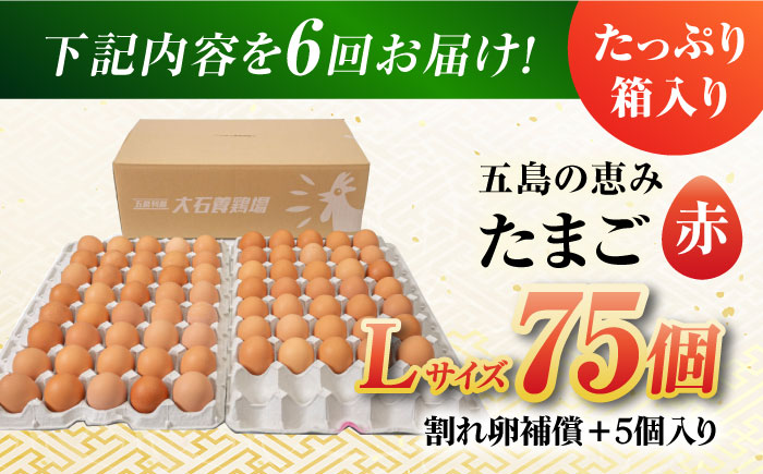 【全6回定期便】【お得な箱入り】五島の恵みたまご Lサイズ 75個入 / 卵 赤玉子五島市 / 五島列島大石養鶏場 [PFQ018]