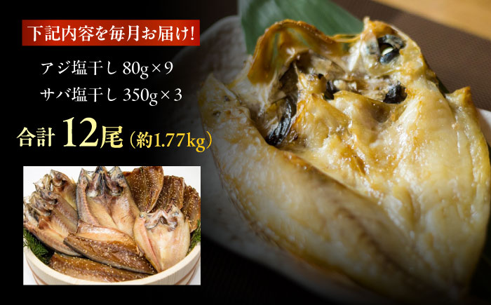 【12回定期便】【L】一夜干し 塩干し（アジ/サバ）計12尾 五島市/愛情食彩[PCH028]