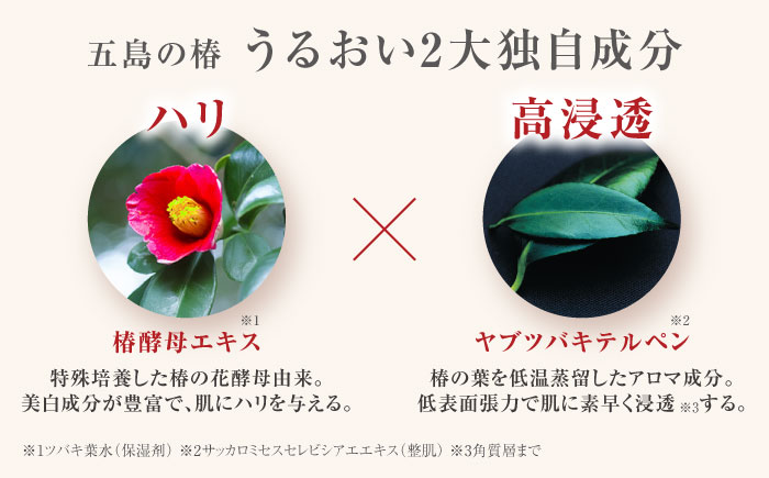 椿の葉 保湿水 150ml 五島市/五島の椿 [PEG029]