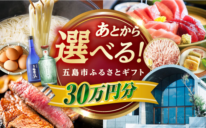 【あとから選べる】長崎県五島市ふるさとギフト 30万円分 和牛 魚 鮮魚 椿 うどん [PZX018]