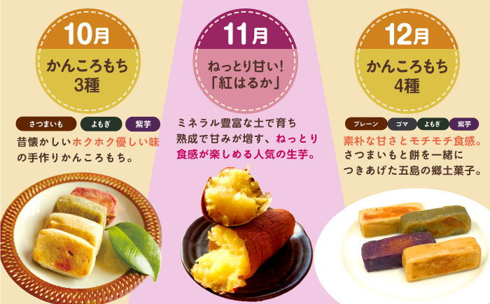 【12回定期便】五島の芋まんきつ定期便 五島市ふるさと納税/五島市 [PZX052]