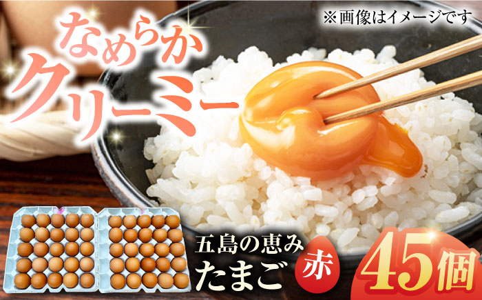 【お得な箱入り】五島の恵みたまご M〜Lサイズ 45個入 / 卵 赤玉子 五島市 / 五島列島大石養鶏場 [PFQ038]