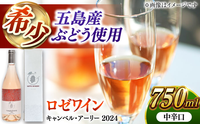 キャンベル・アーリー ロゼ 2024 酒 お酒 ワイン ロゼワイン ぶどう 葡萄五島市/五島ワイナリー [PAG030]