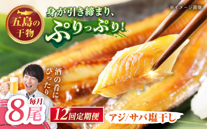 【12回定期便】【M】一夜干し 塩干し（アジ/サバ）計8尾 五島市/愛情食彩[PCH020]