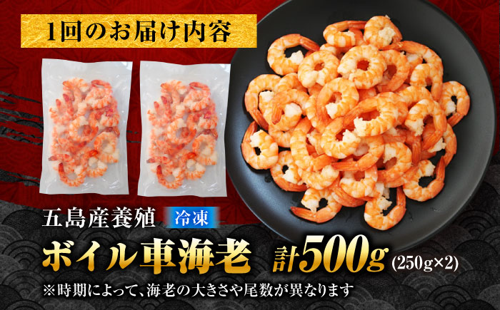 【10回定期便】五島特産 ボイル 車海老 エビ 尾付き むきえび 500g (250g×2P) 五島市/拓水 五島事業場 [PCU012]
