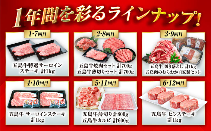 【12回定期便】大満足！五島牛 ファミリー特撰コース 五島市/五島市ふるさと納税 [PZX030]