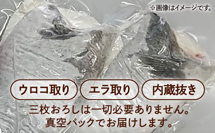 金澤仕立て 鮮魚ボックス（旬の魚2種・アオリイカ・魚醤油1種）五島市/金沢鮮魚 [PEP002]