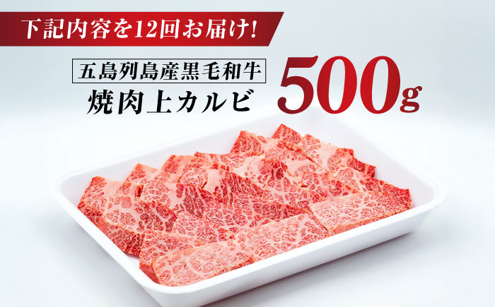 【12回定期便】五島列島産 黒毛和牛 焼肉上カルビ 500g 五島市/山口Farm [PGJ060]