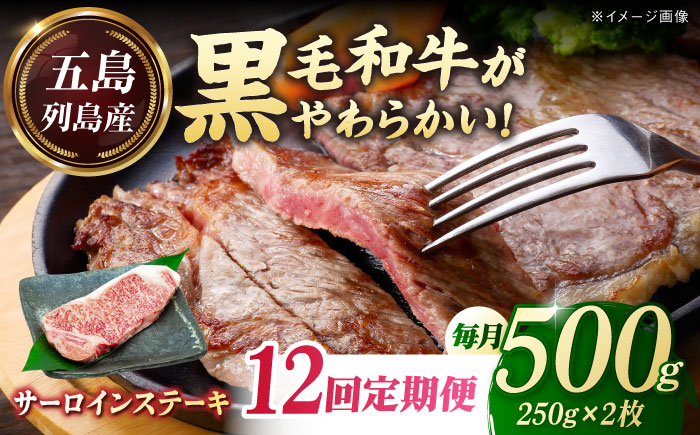 【全12回定期便】五島列島産 黒毛和牛 サーロインステーキ 250g×2枚 五島市/山口Farm [PGJ020]