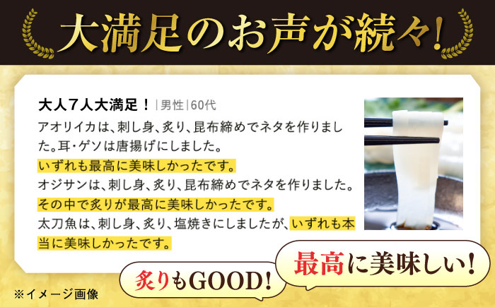 【五島列島直送】朝獲れ高級鮮魚セット2kg 五島市 / 鯛福丸水産[PDP002]  鮮魚 セット 冷蔵 刺身 魚 海鮮 直送 さかな 詰合せ 新鮮 料理