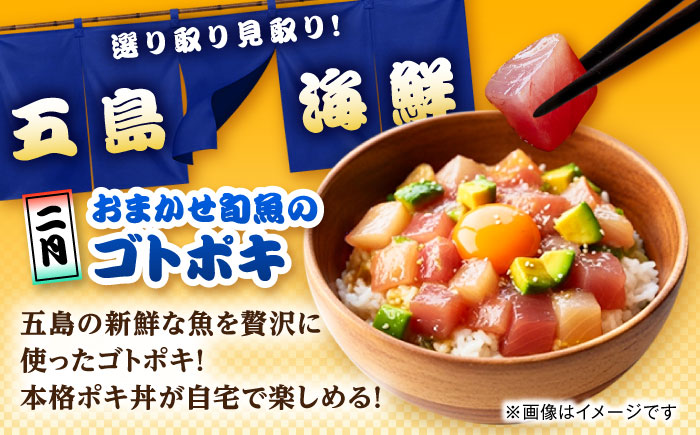 【6回定期便】五島のお魚！満喫定期便（2人前）/五島市 [PZX053]