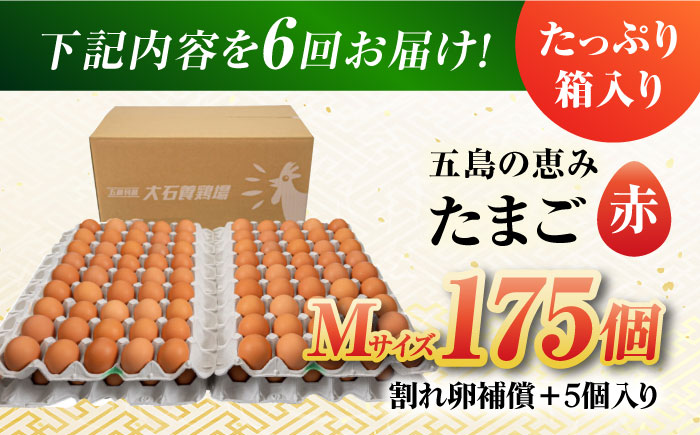 【全6回定期便】【お得な箱入り】五島の恵みたまご Mサイズ 175個入 / 卵 赤玉子 五島市 / 五島列島大石養鶏場 [PFQ021]