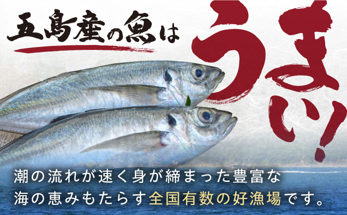 【全6回定期便】長崎俵物 干物 5種セット 五島列島 奈留の恵み ひもの 一夜干し【奈留町漁業協同組合】 [PAT007]