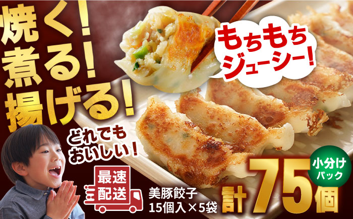 美豚餃子75個（15個×5袋） 五島市/長崎フードサービス[PEL003]餃子 