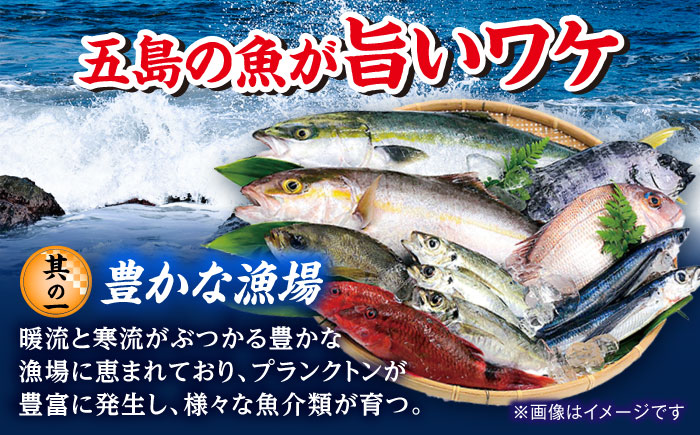 【6回定期便】五島のお魚！満喫定期便（2人前）/五島市 [PZX053]