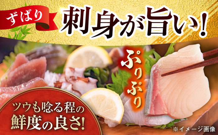 【五島列島直送】朝獲れ高級鮮魚セット6kg 五島市 / 鯛福丸水産[PDP004]  魚 鮮魚 セット 海鮮 直送 さかな 詰合せ 冷蔵